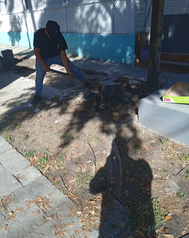 Imagen del proyecto