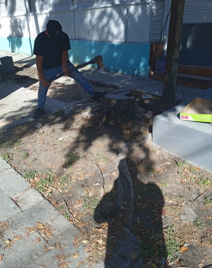 Imagen del proyecto