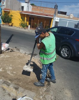 Imagen del proyecto