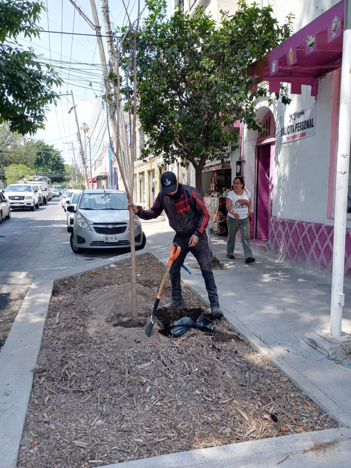 Imagen del proyecto