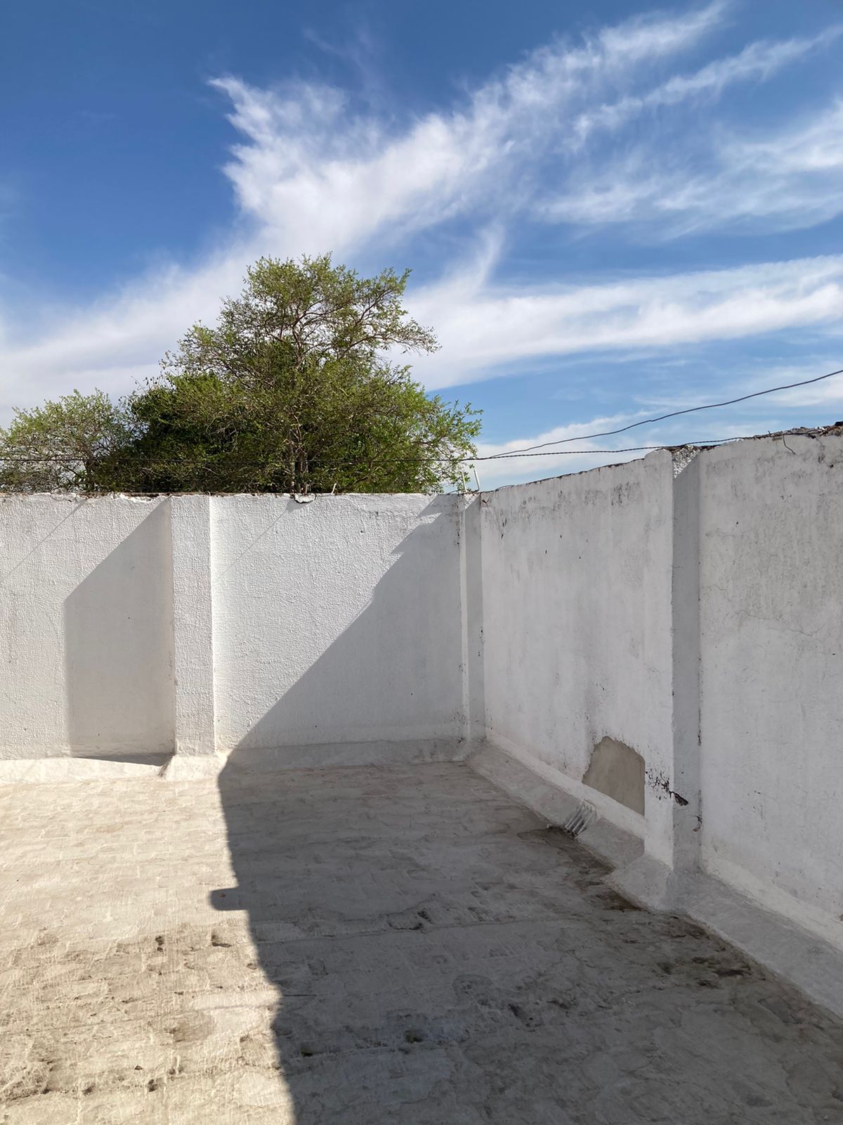 Imagen del proyecto