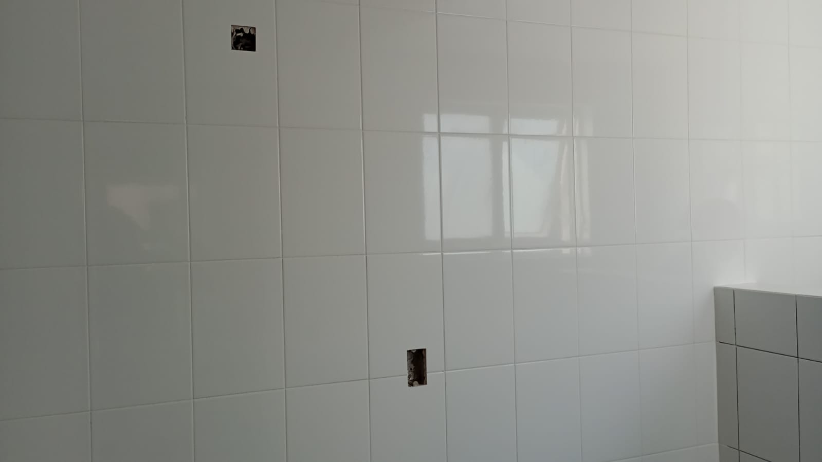 Imagen del proyecto