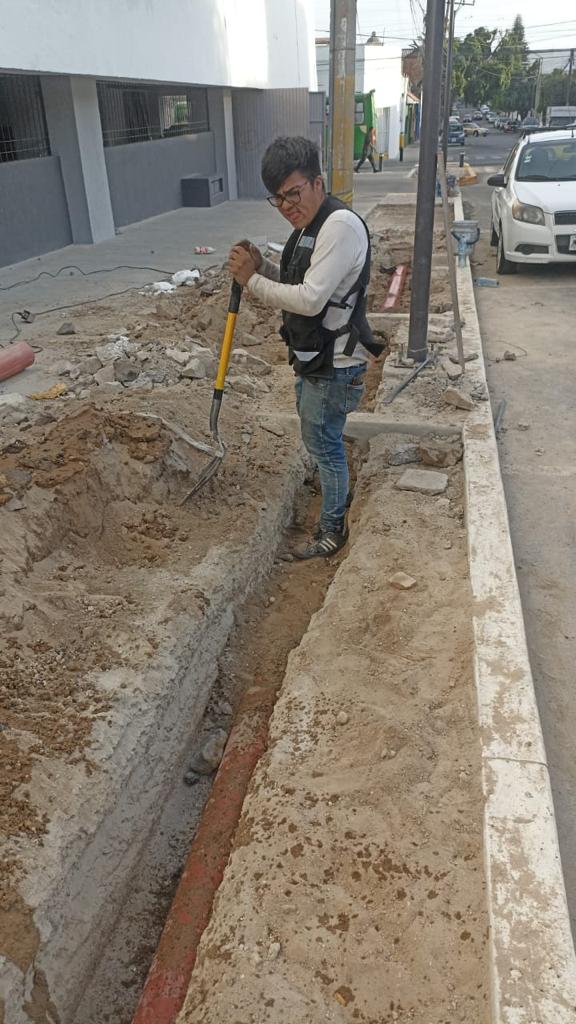 Imagen del proyecto