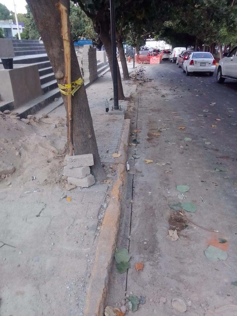 Imagen del proyecto