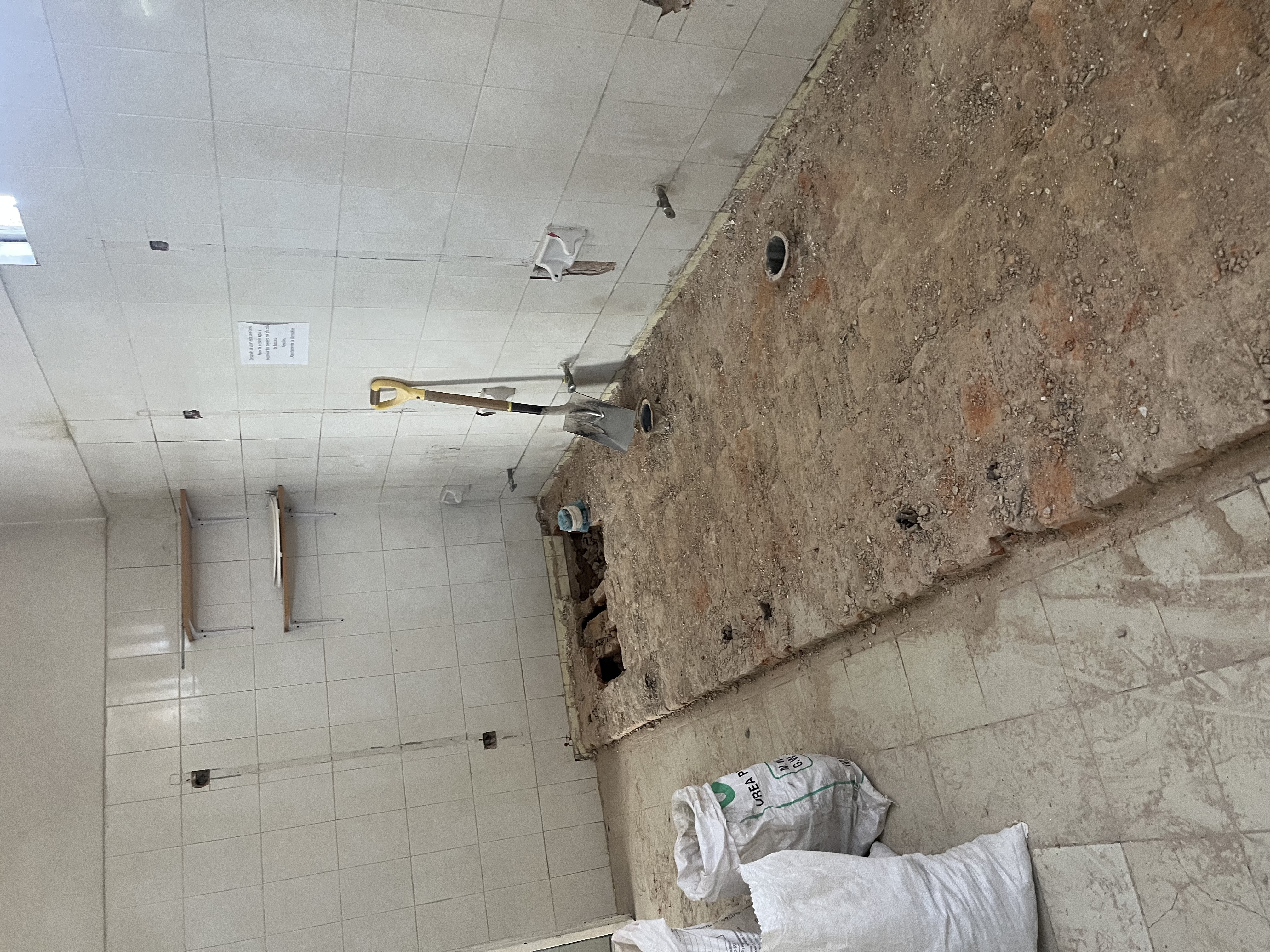 Imagen del proyecto