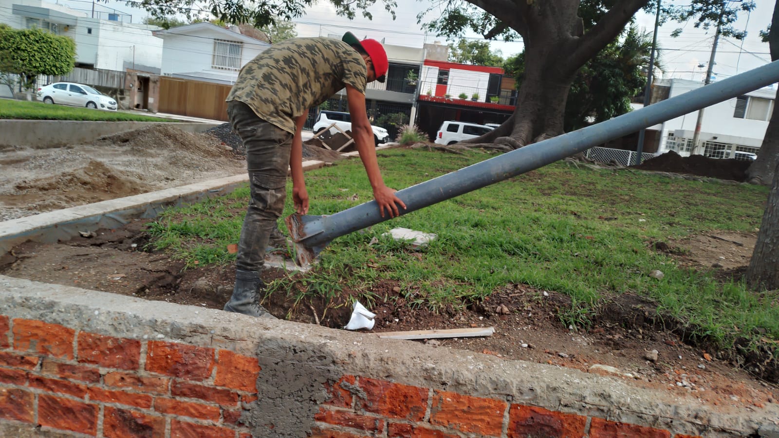 Imagen del proyecto