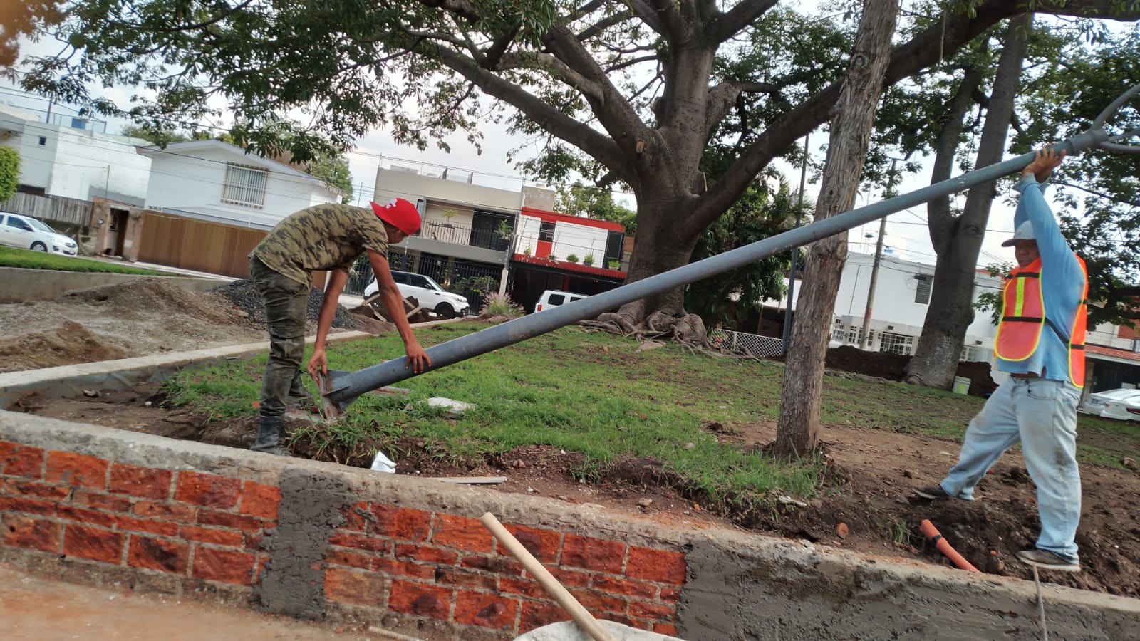 Imagen del Proyecto