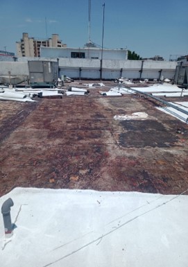 Imagen del proyecto