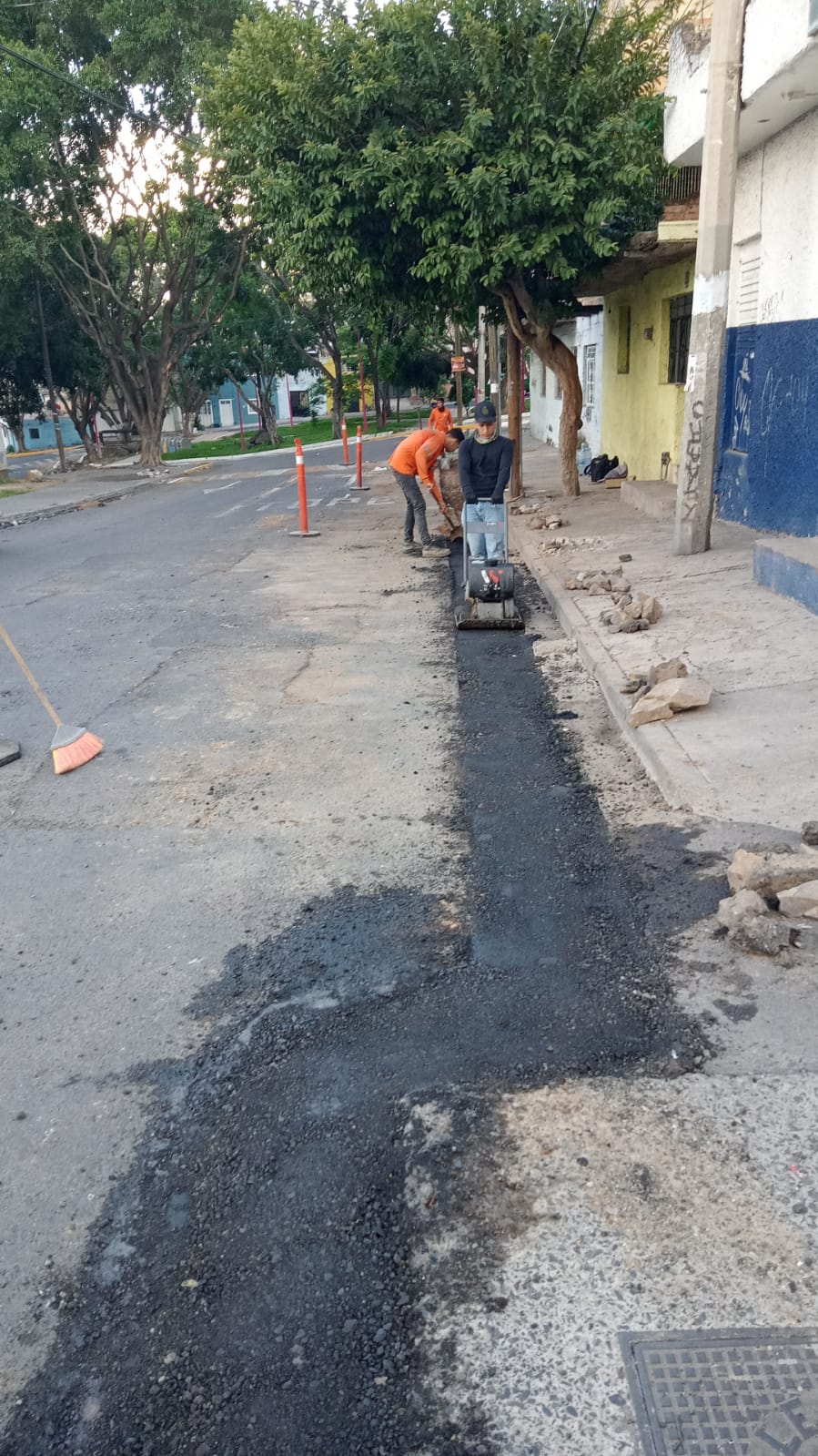 Imagen del proyecto