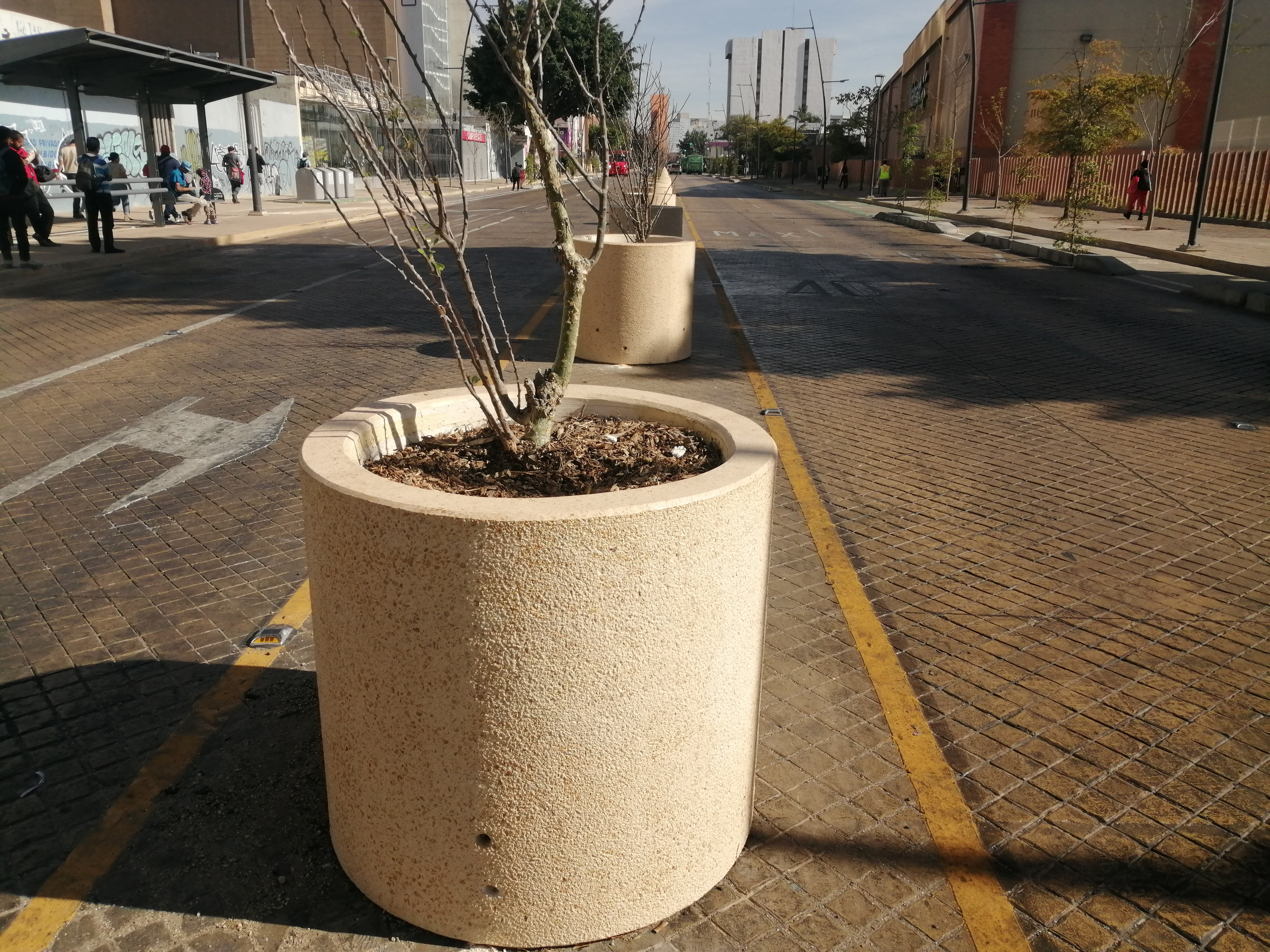 Imagen del proyecto
