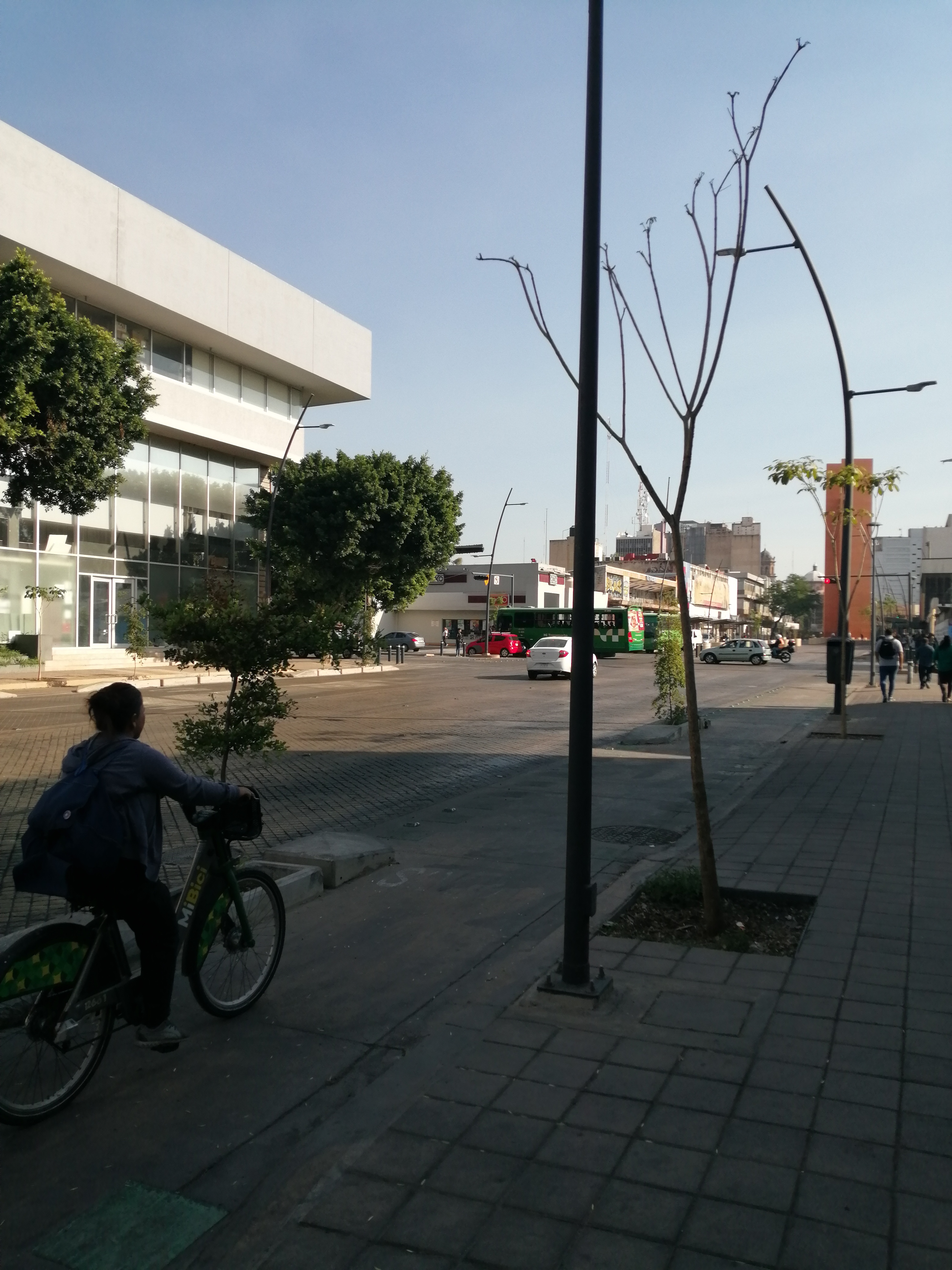 Imagen del proyecto