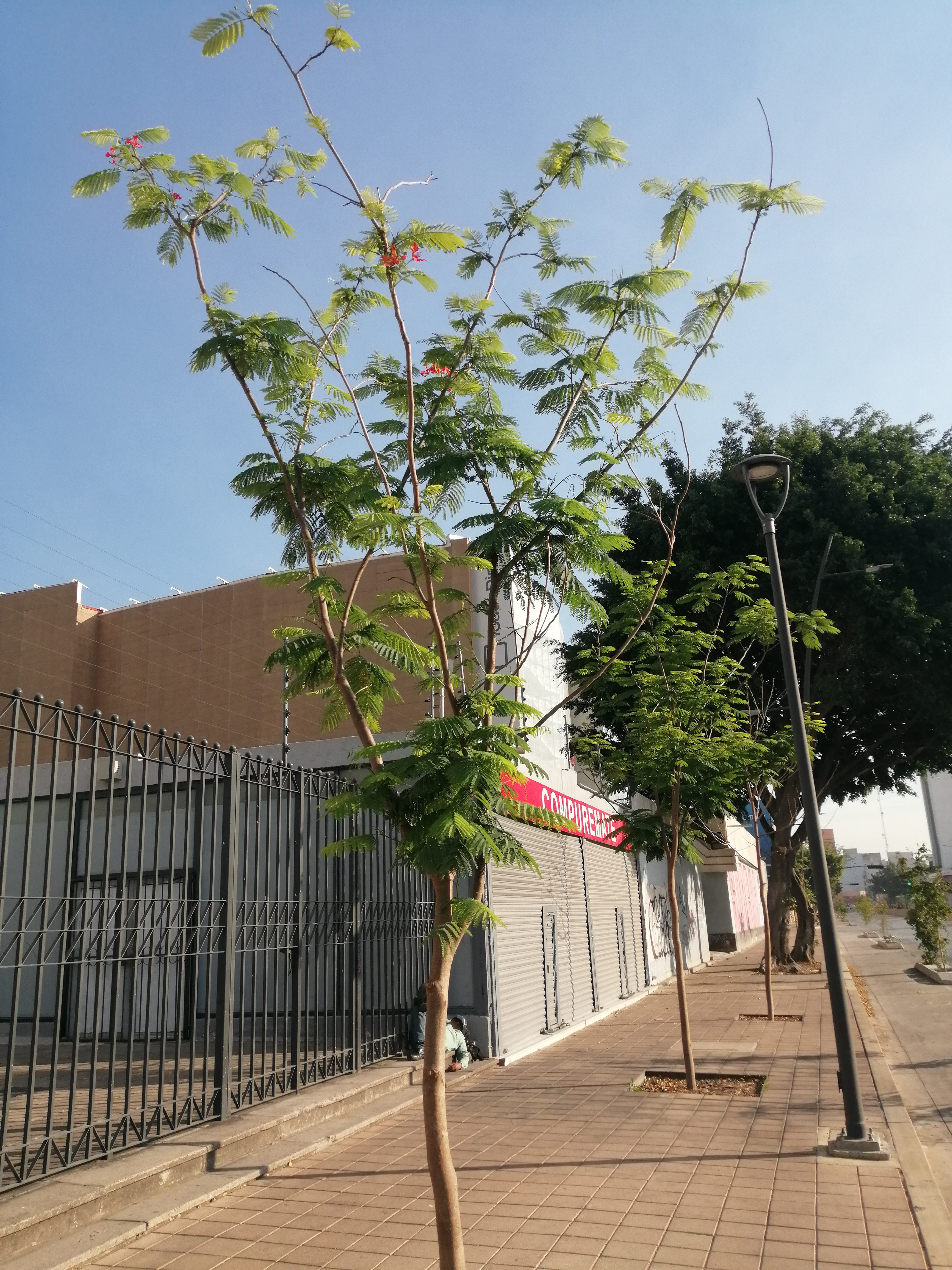 Imagen del proyecto