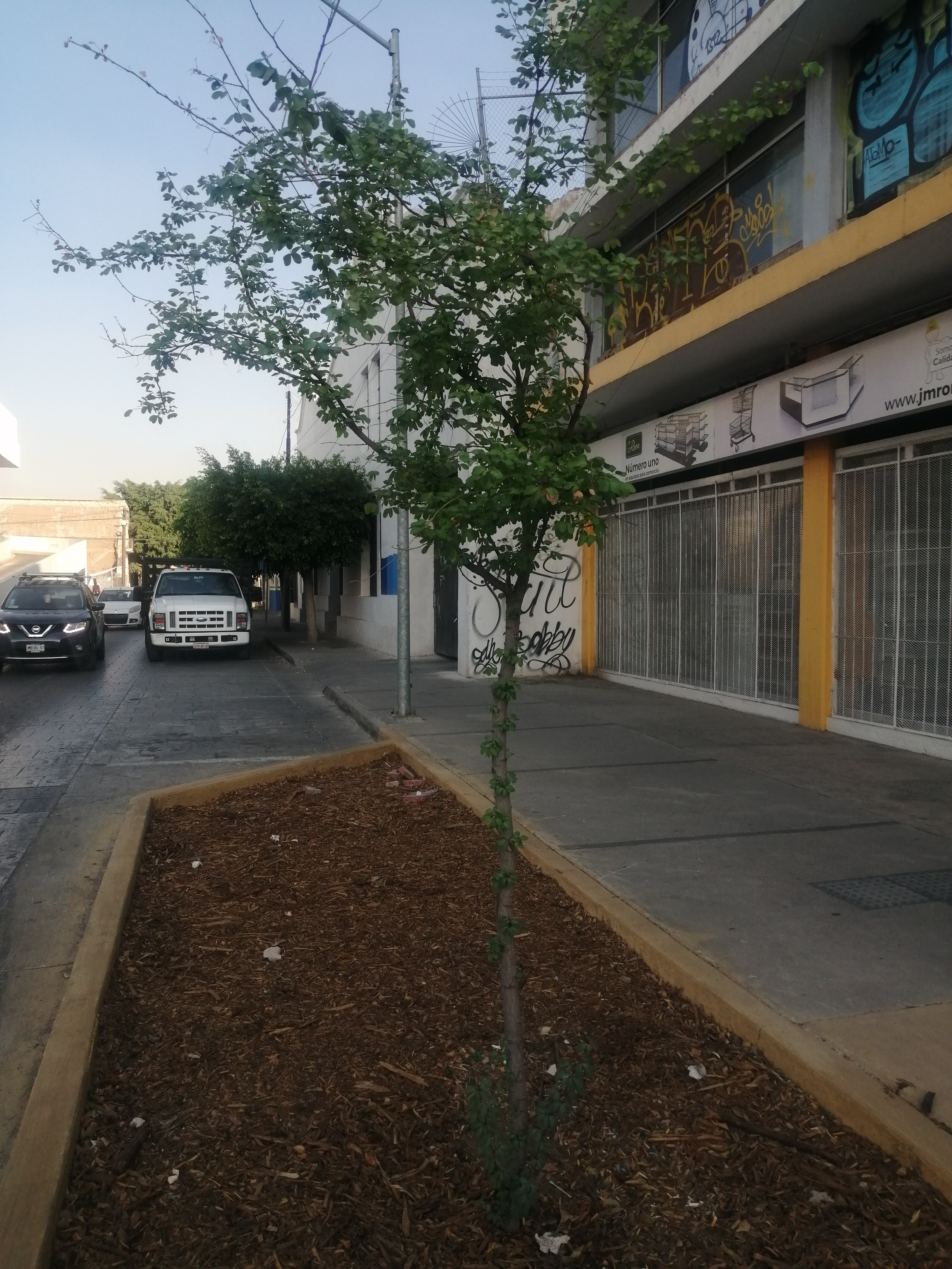 Imagen del proyecto