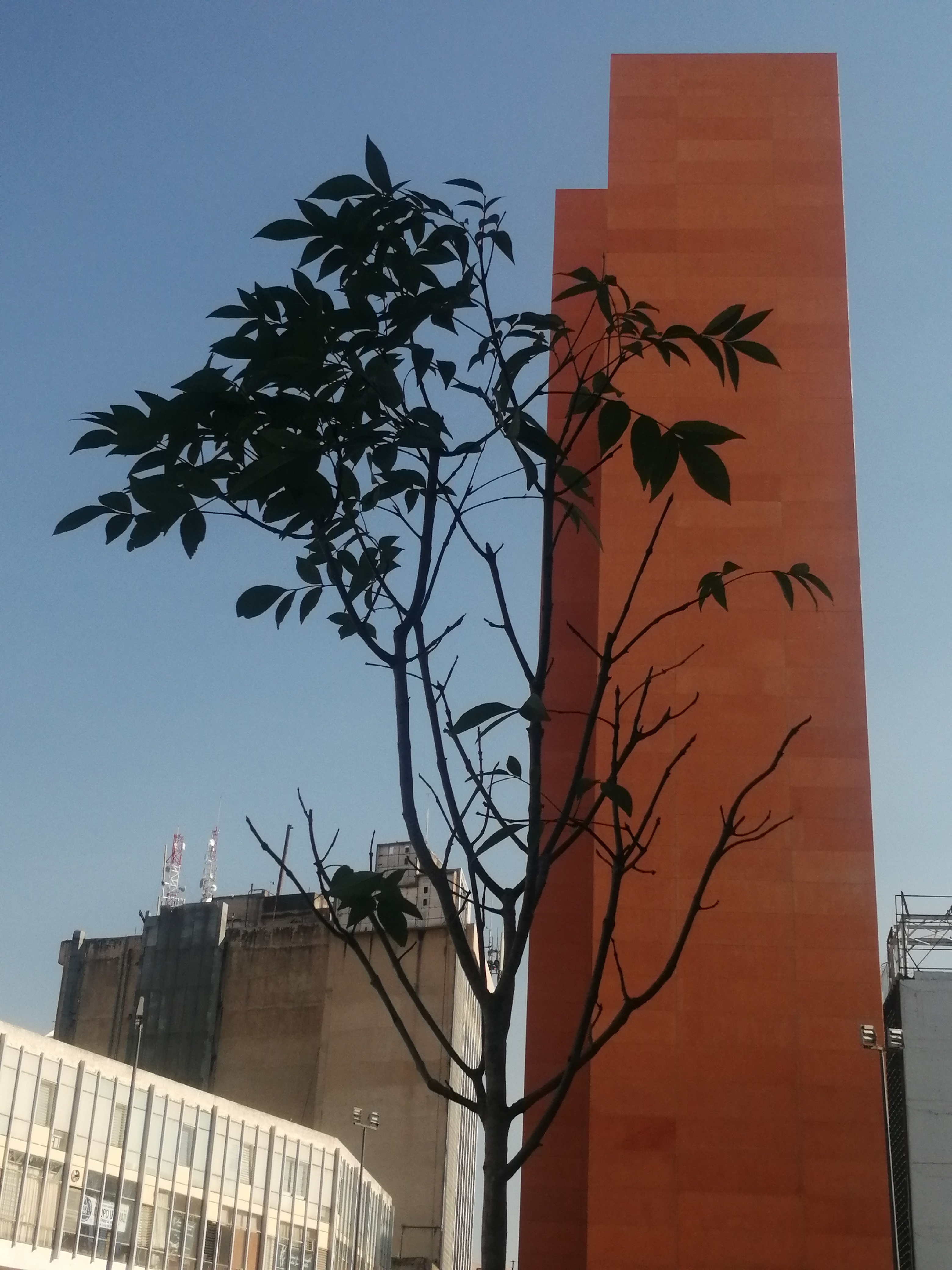 Imagen del proyecto