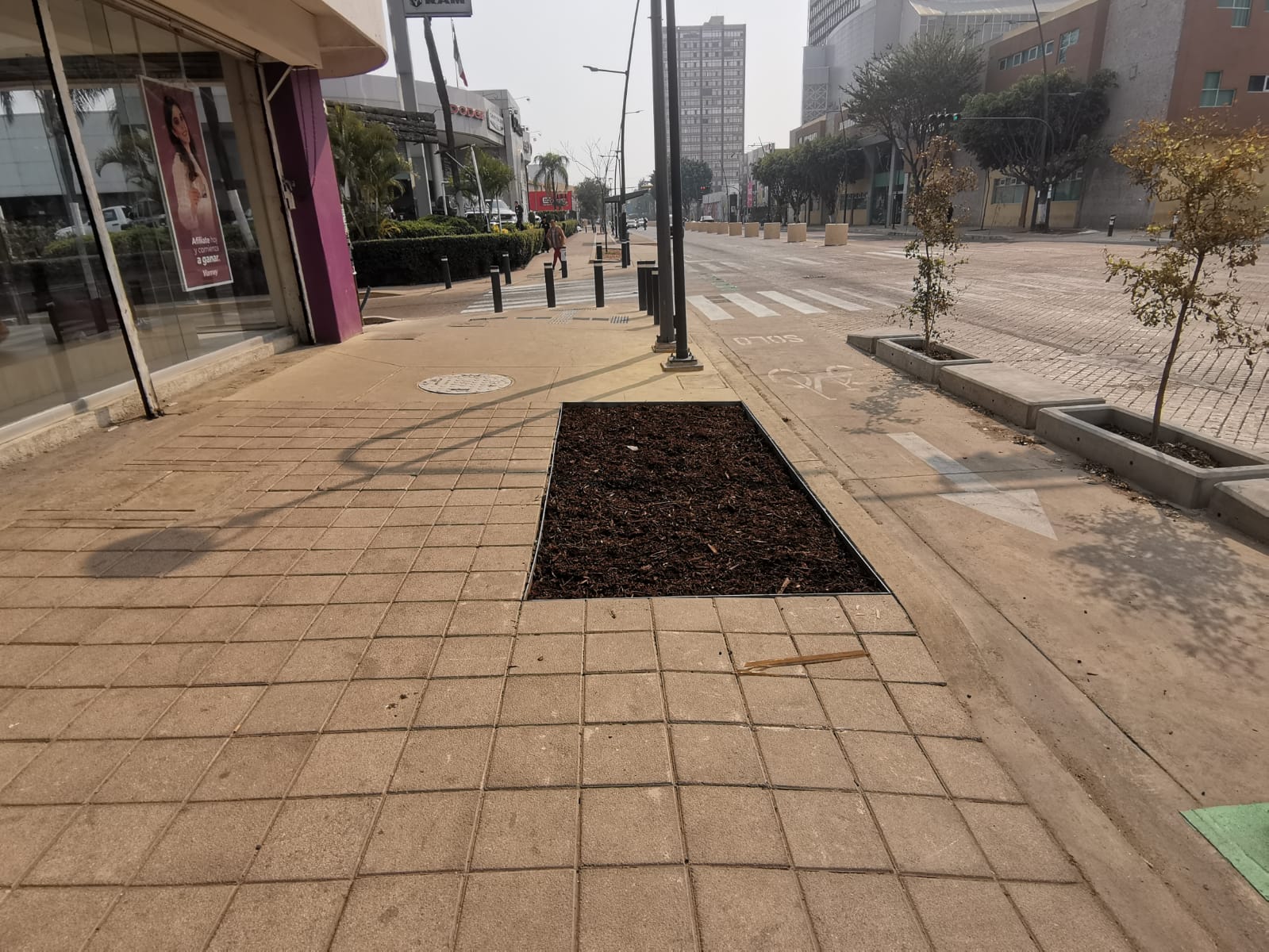 Imagen del proyecto