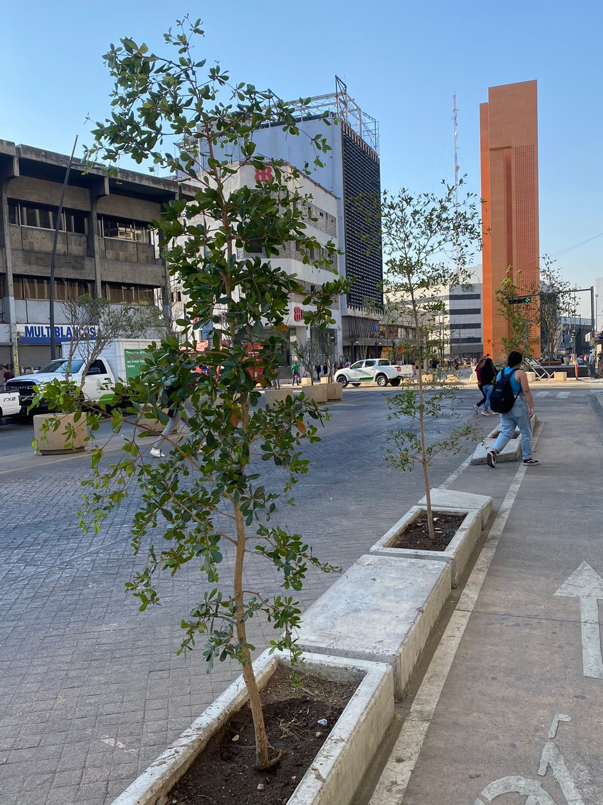 Imagen del proyecto