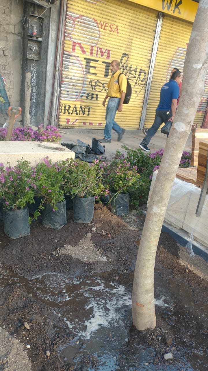 Imagen del proyecto