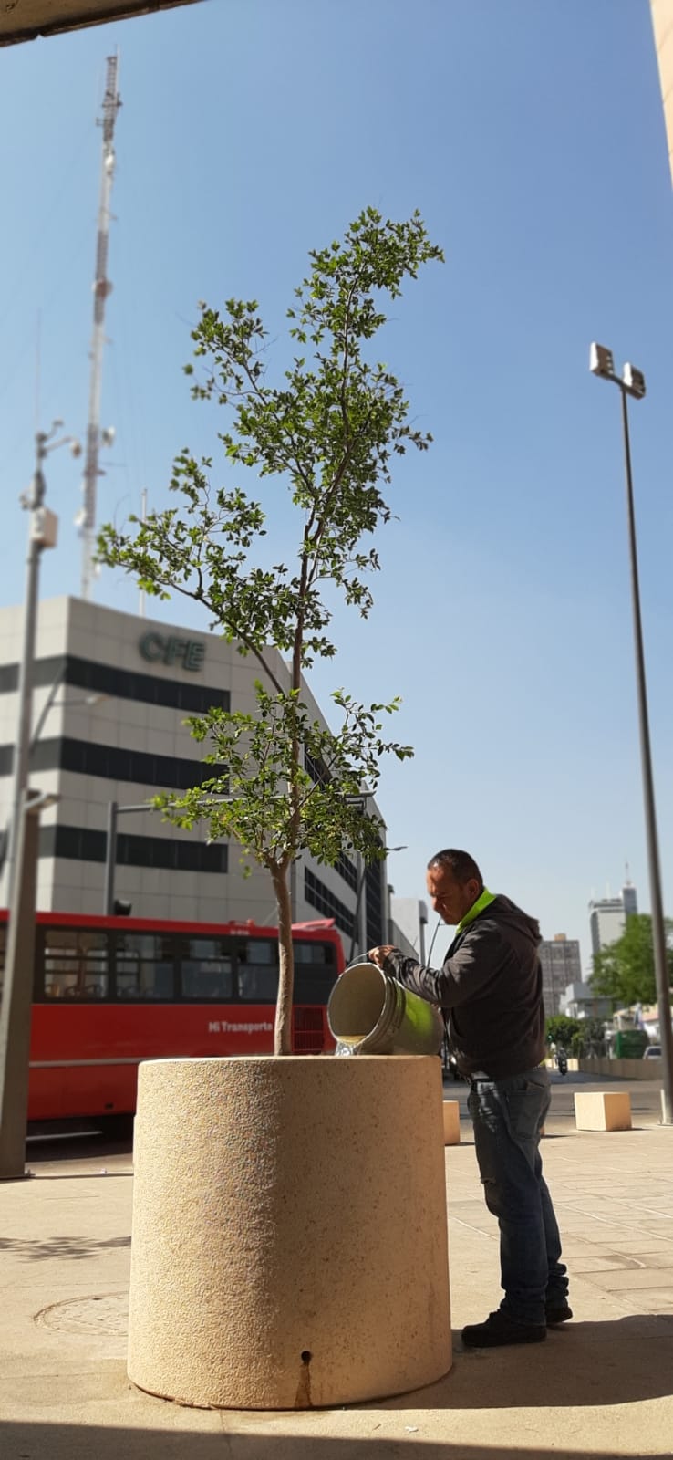 Imagen del proyecto
