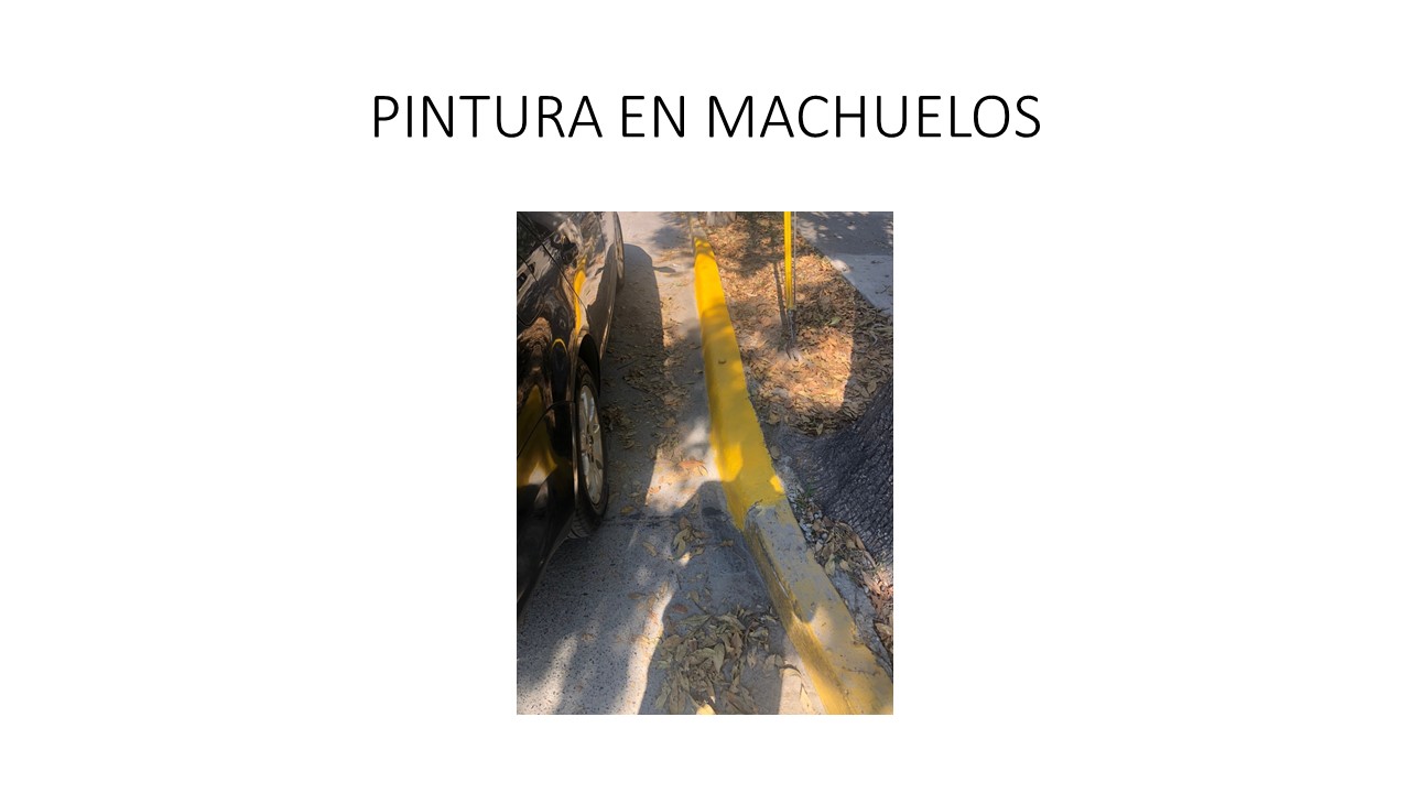 Imagen del proyecto