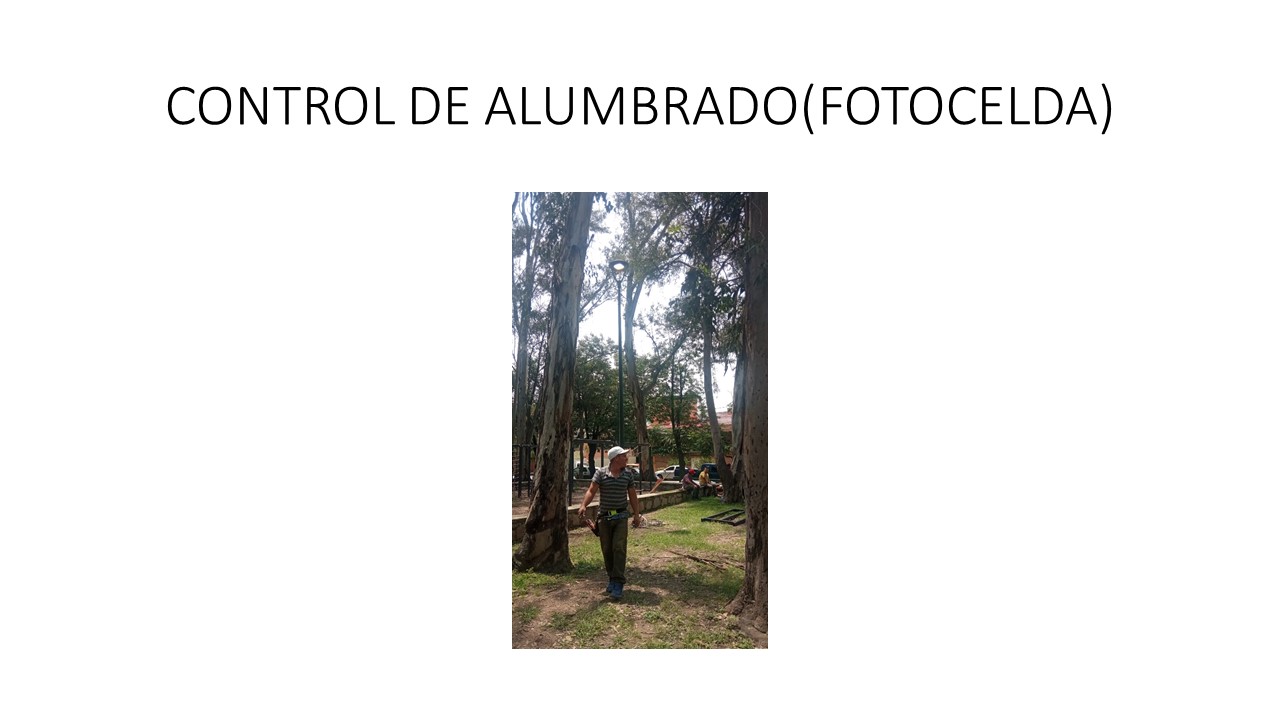 Imagen del Proyecto