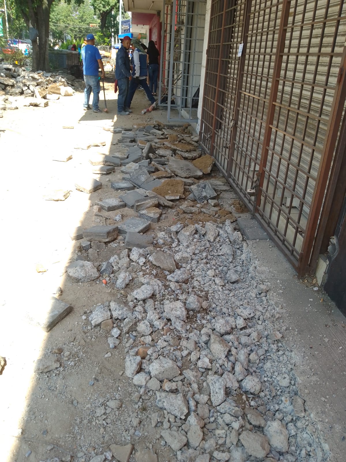 Imagen del proyecto