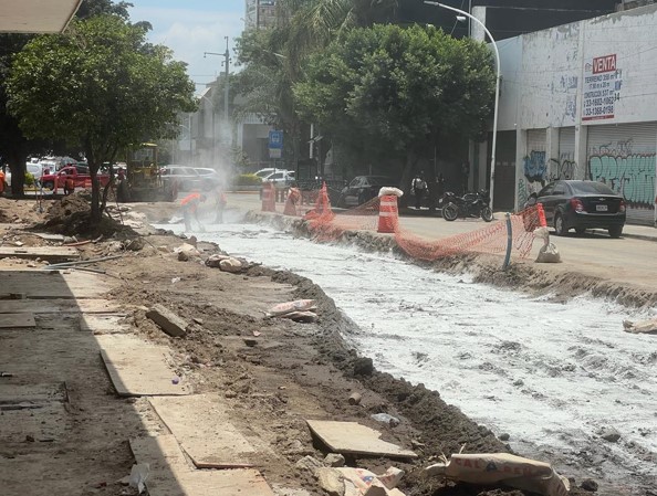 Imagen del proyecto