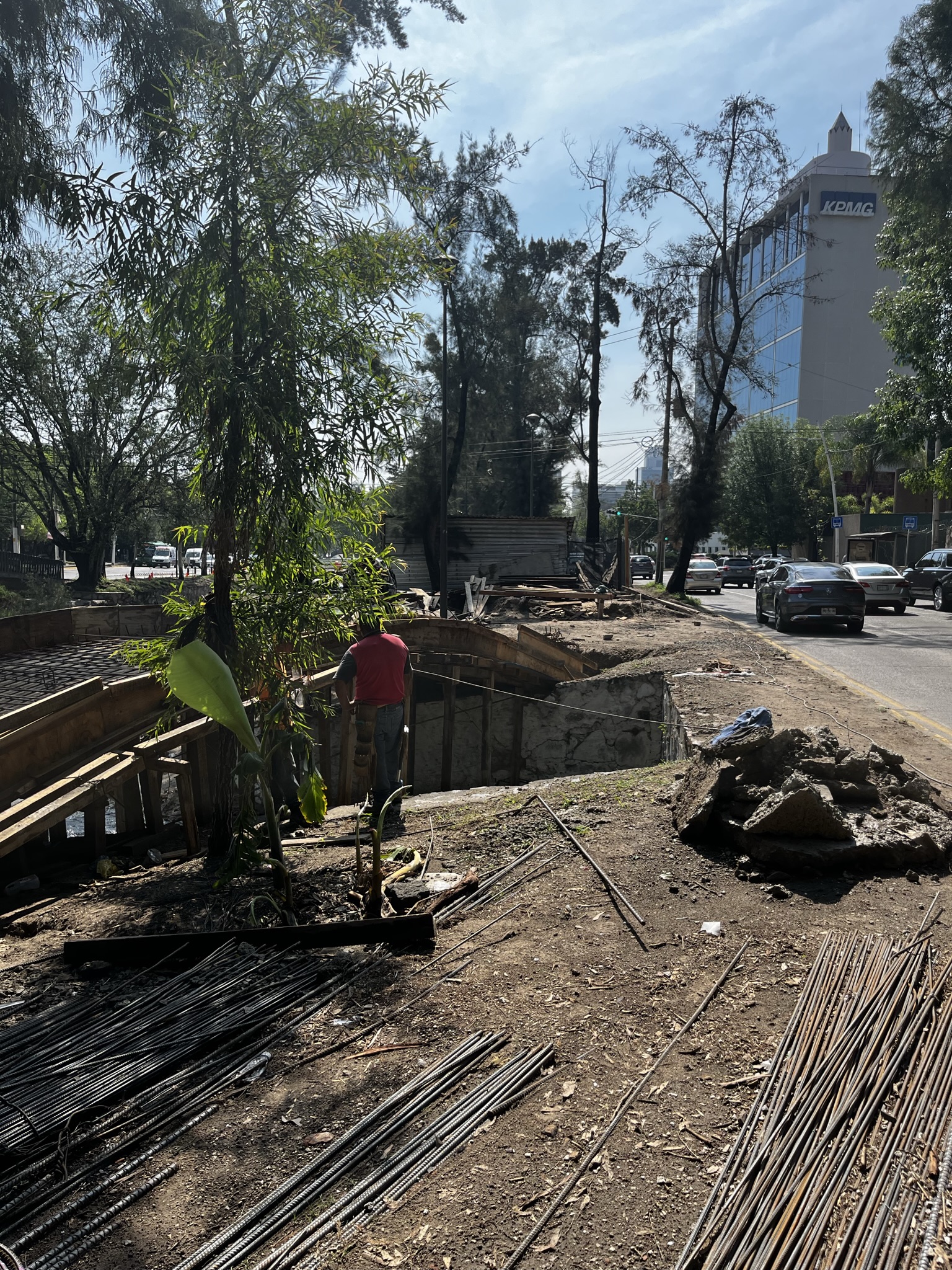 Imagen del proyecto