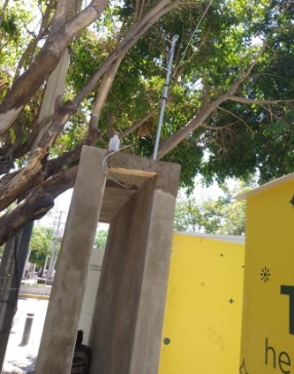 Imagen del proyecto