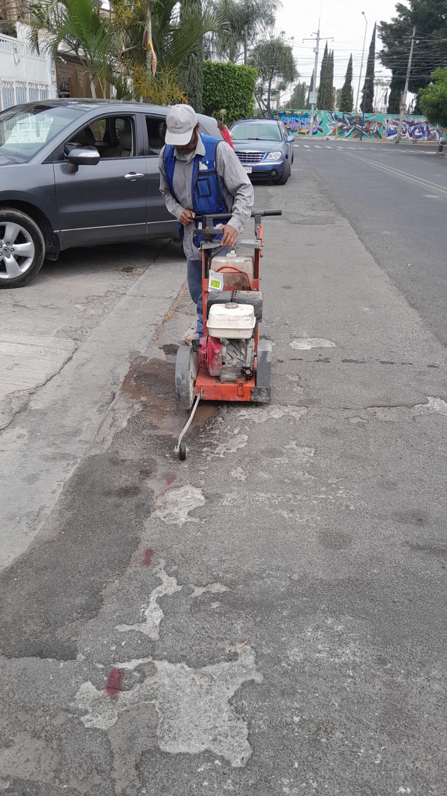 Imagen del proyecto