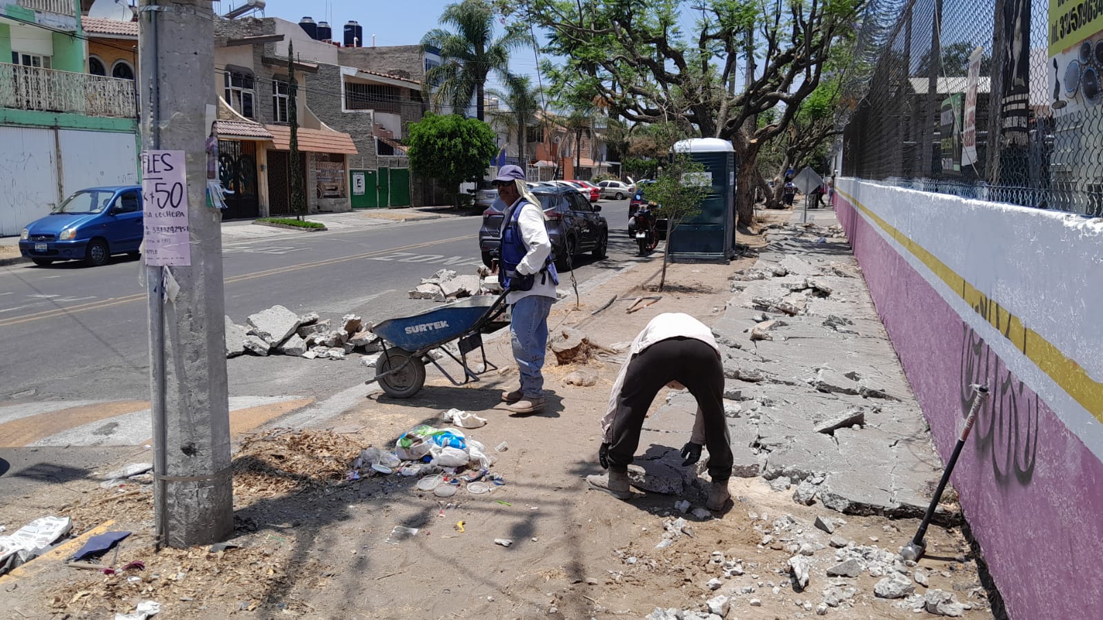 Imagen del proyecto