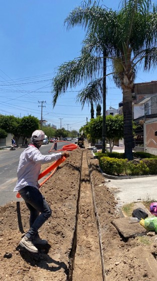 Imagen del proyecto