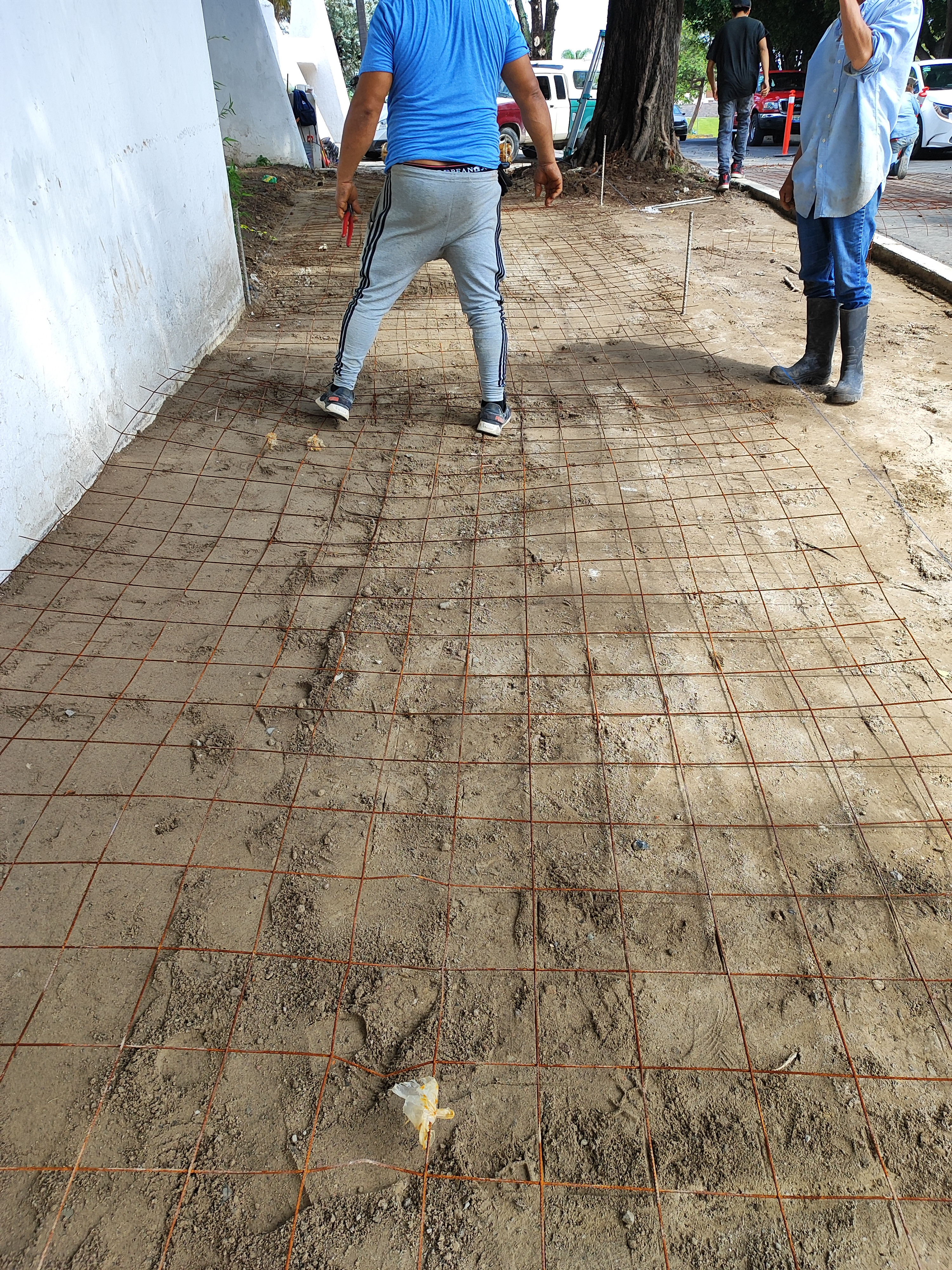 Imagen del proyecto