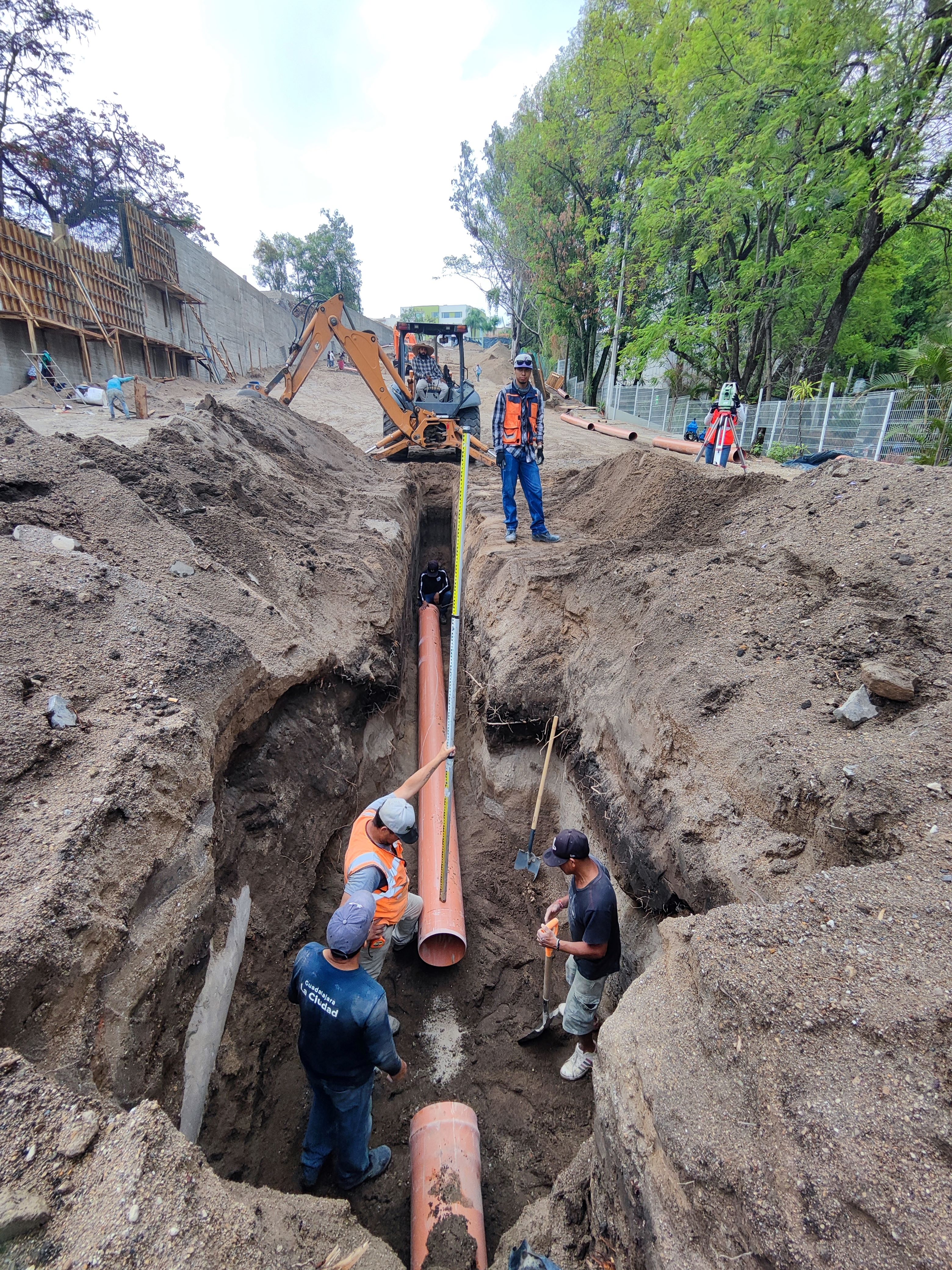 Imagen del proyecto