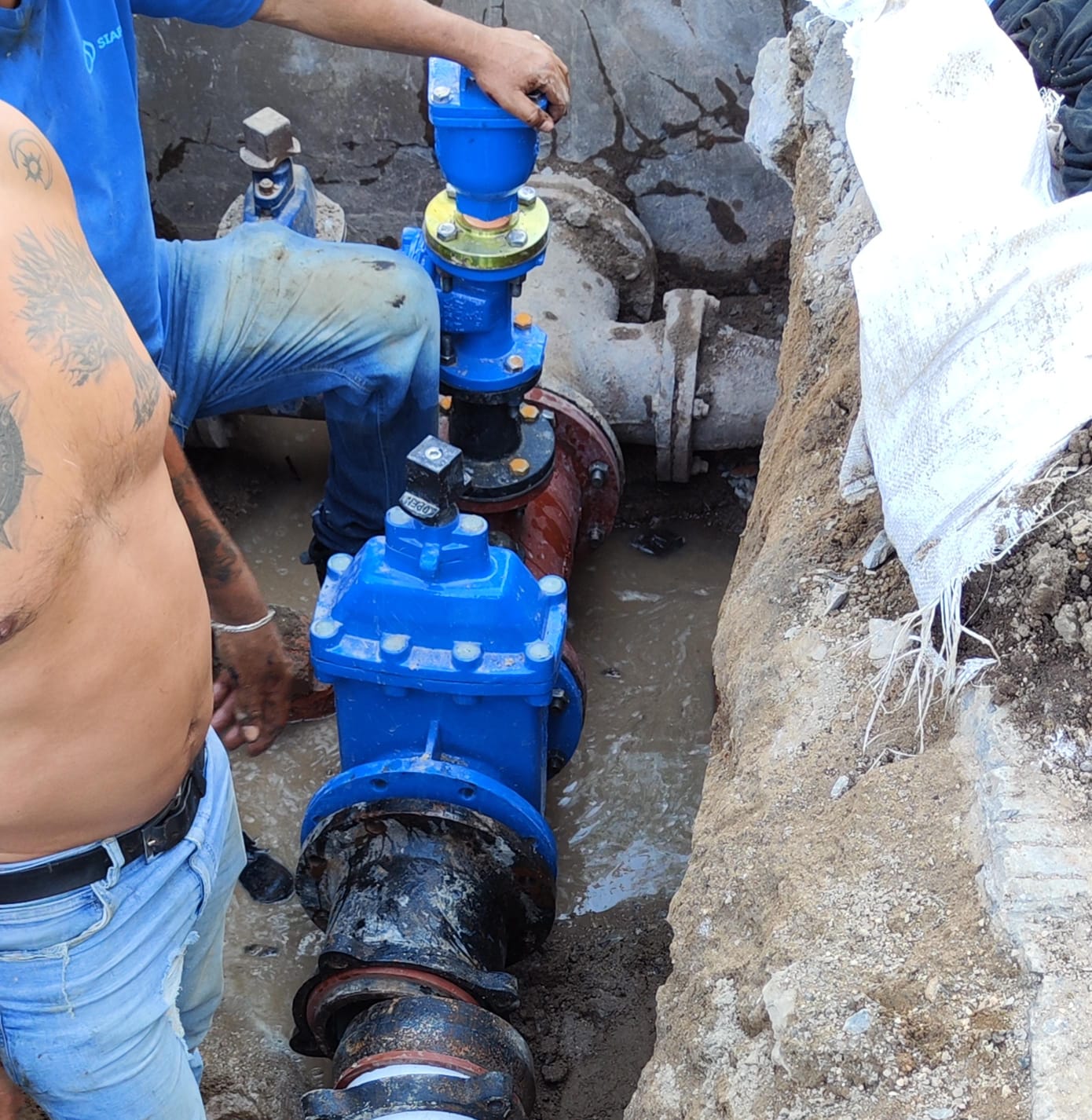 Imagen del proyecto