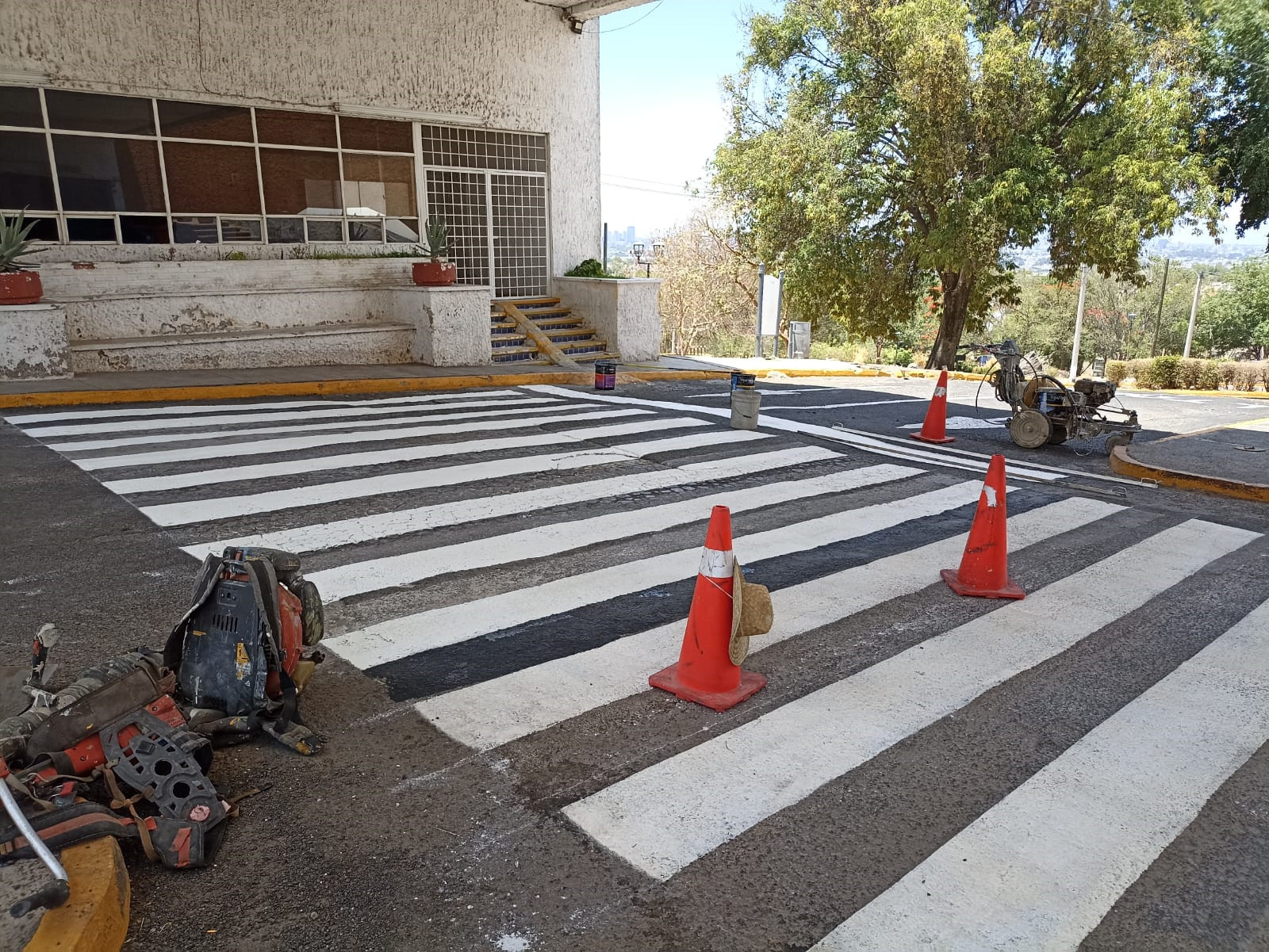 Imagen del proyecto