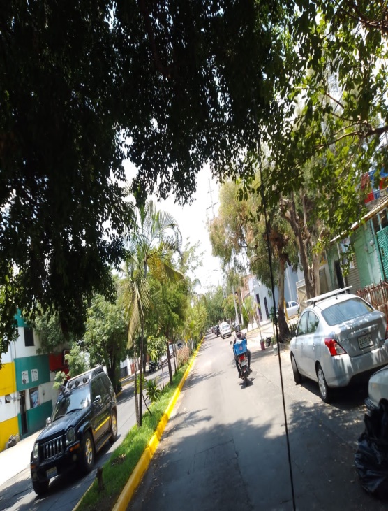 Imagen del proyecto