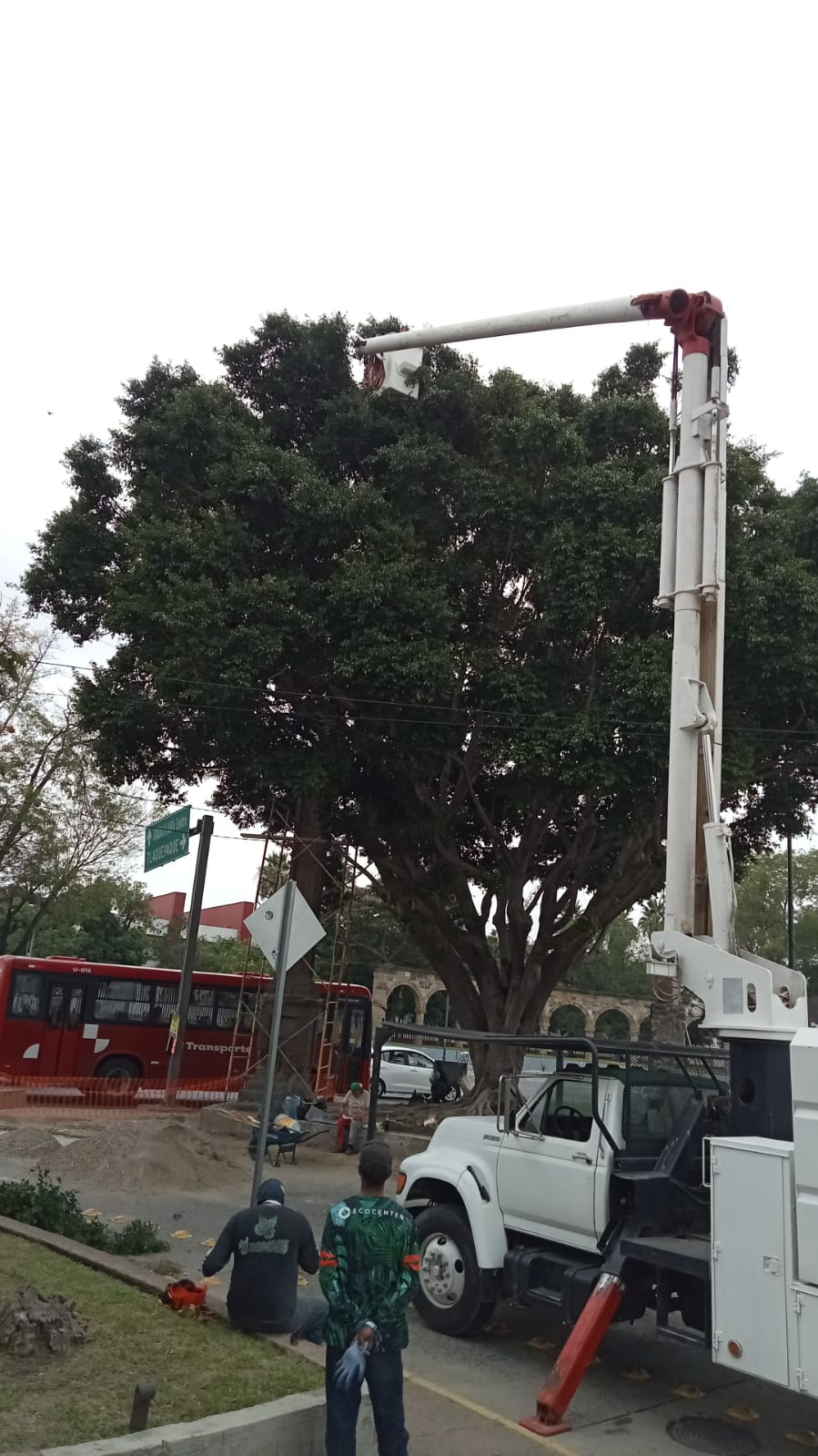 Imagen del proyecto