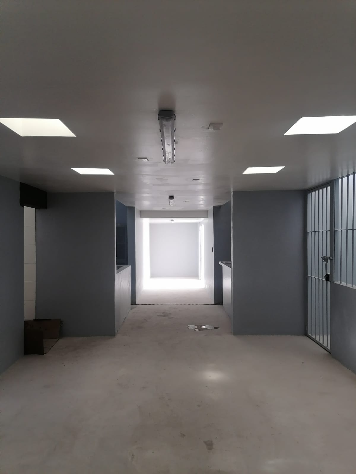 Imagen del proyecto