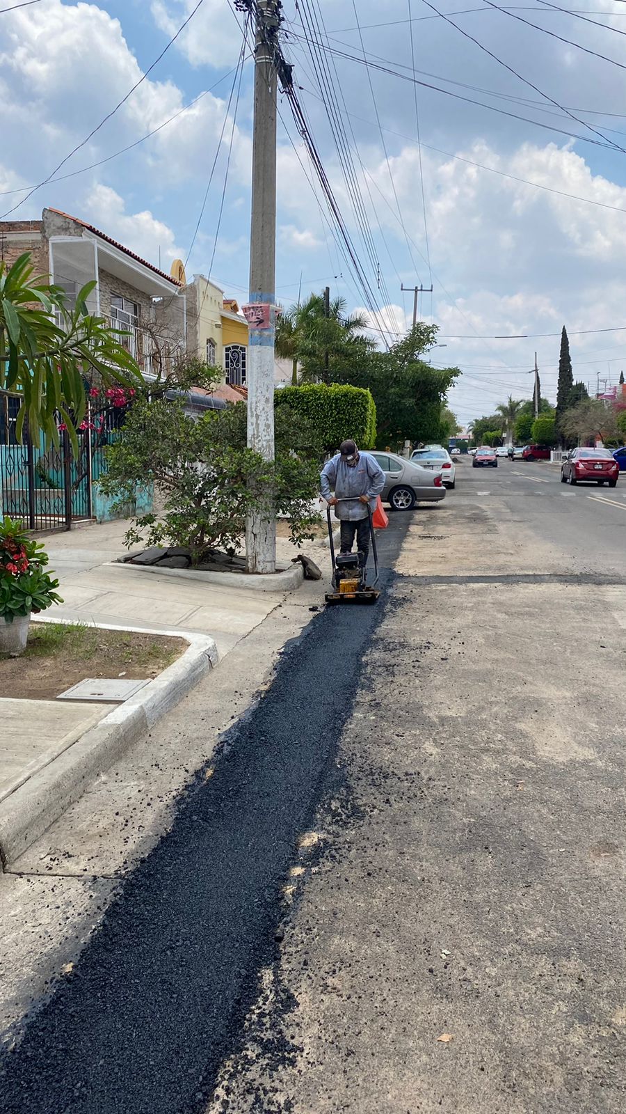 Imagen del proyecto