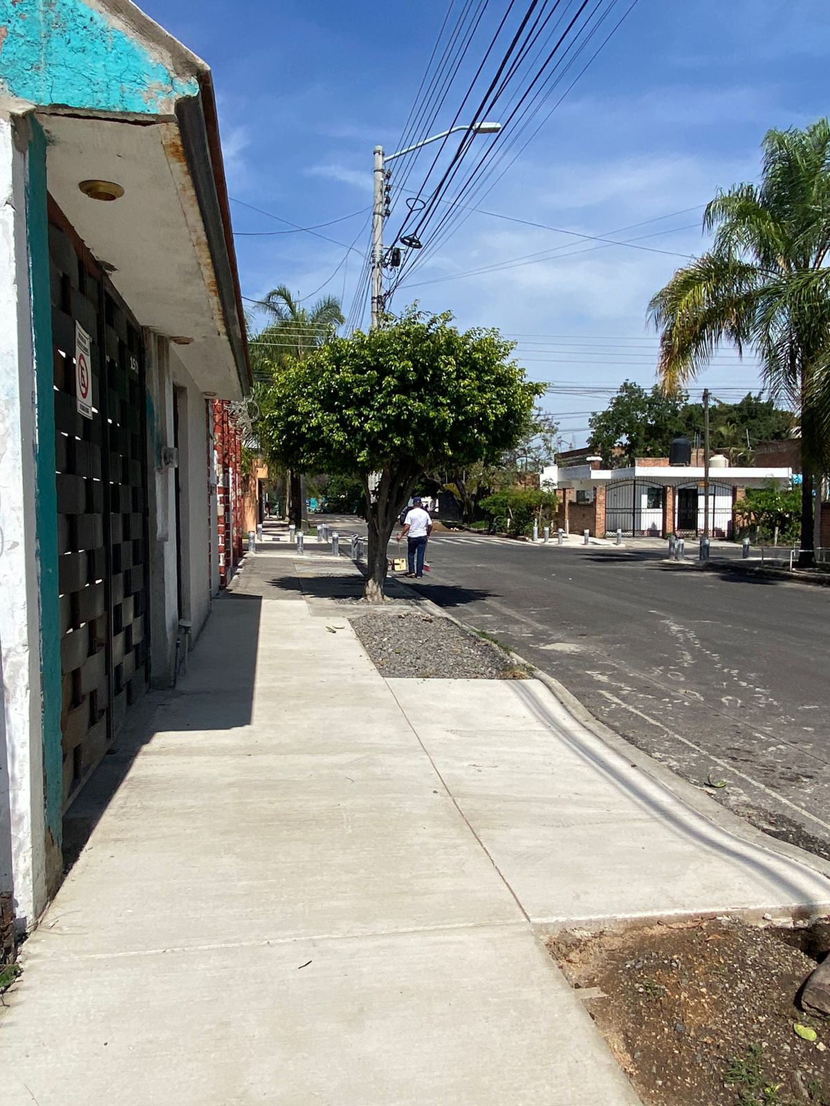 Imagen del proyecto
