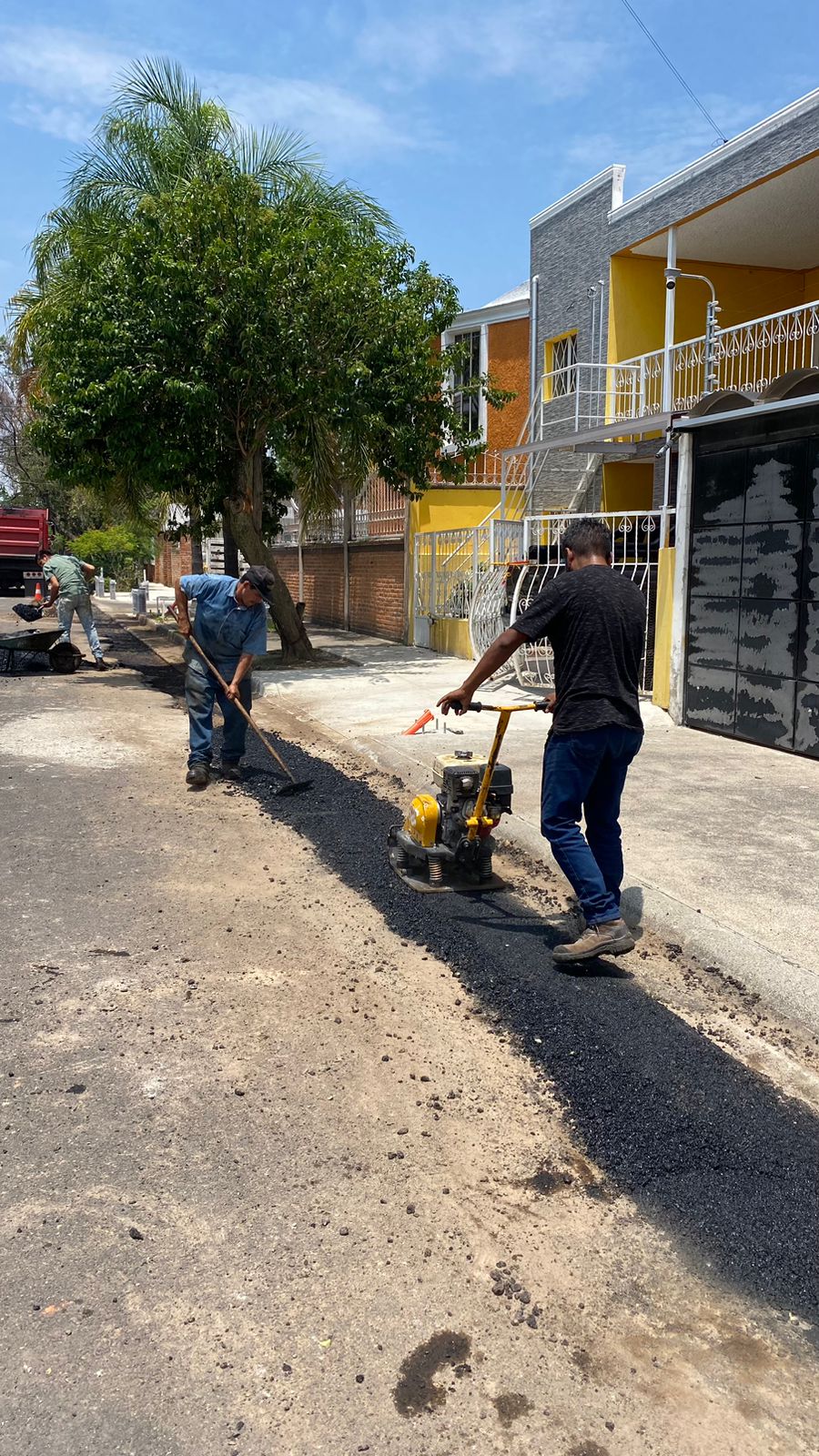 Imagen del proyecto