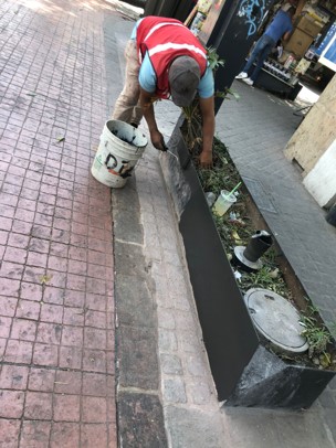 Imagen del proyecto