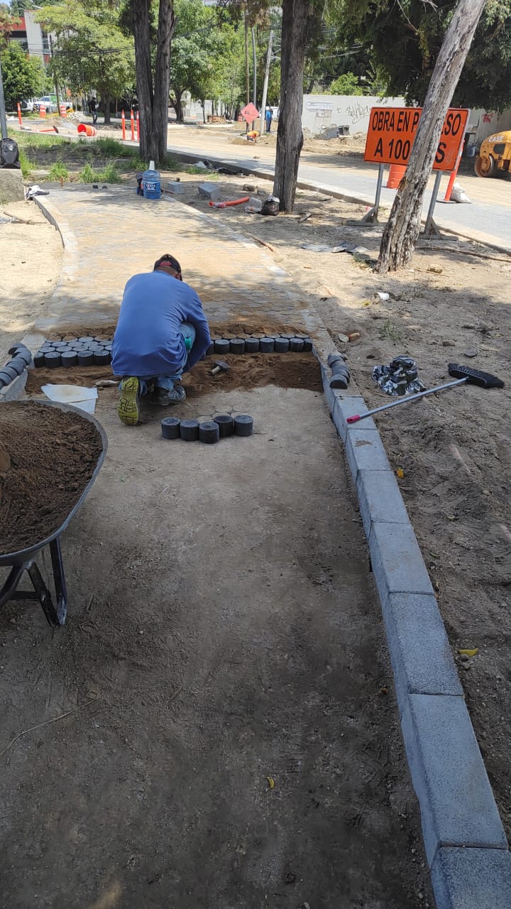 Imagen del proyecto
