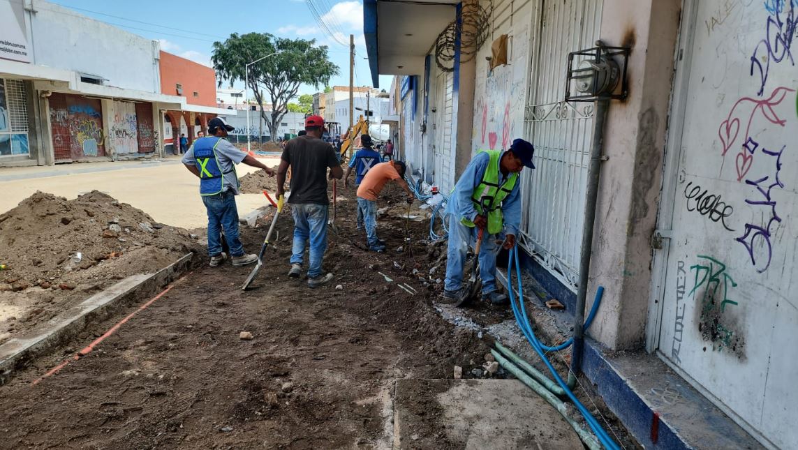 Imagen del proyecto