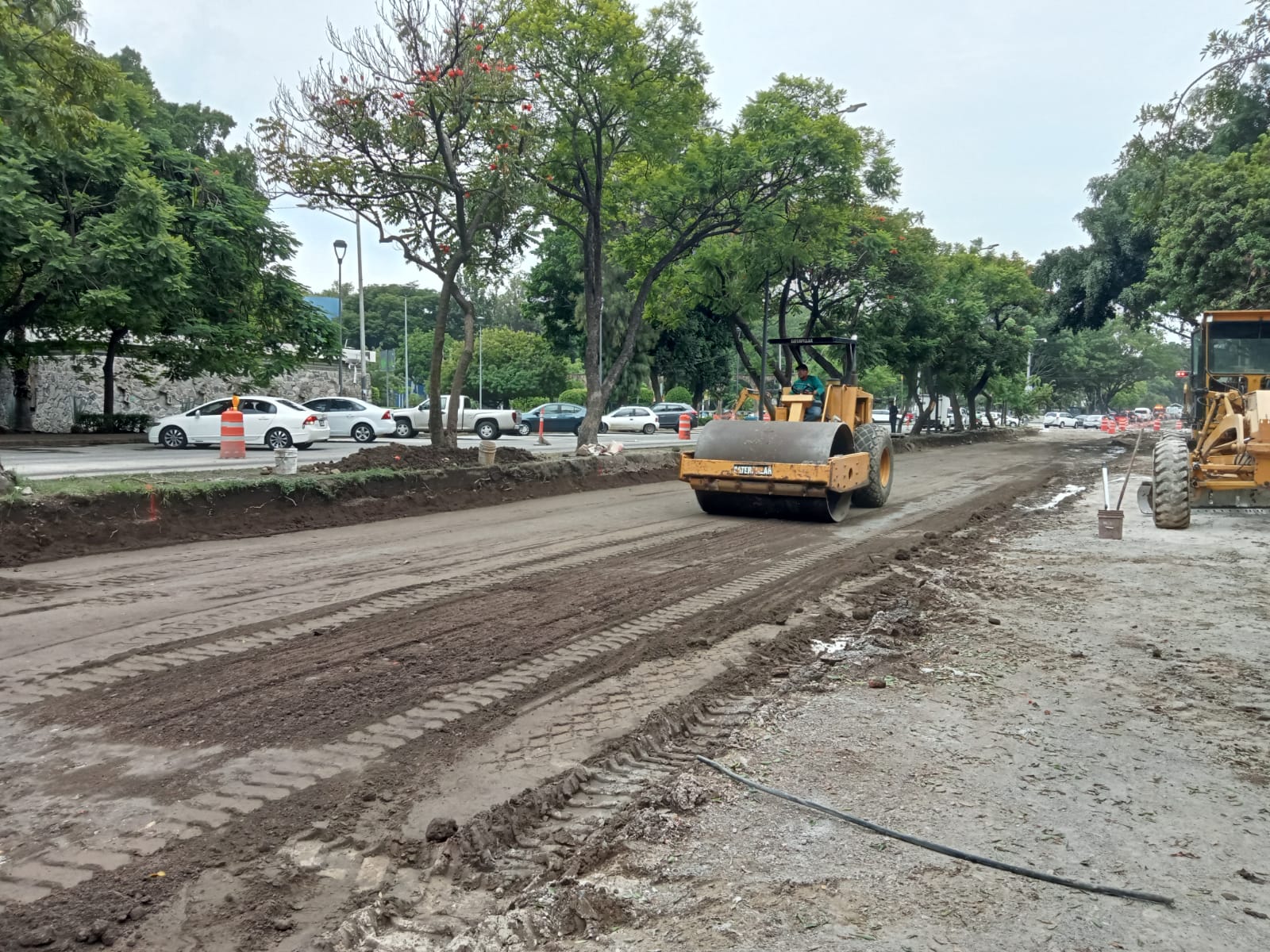 Imagen del proyecto