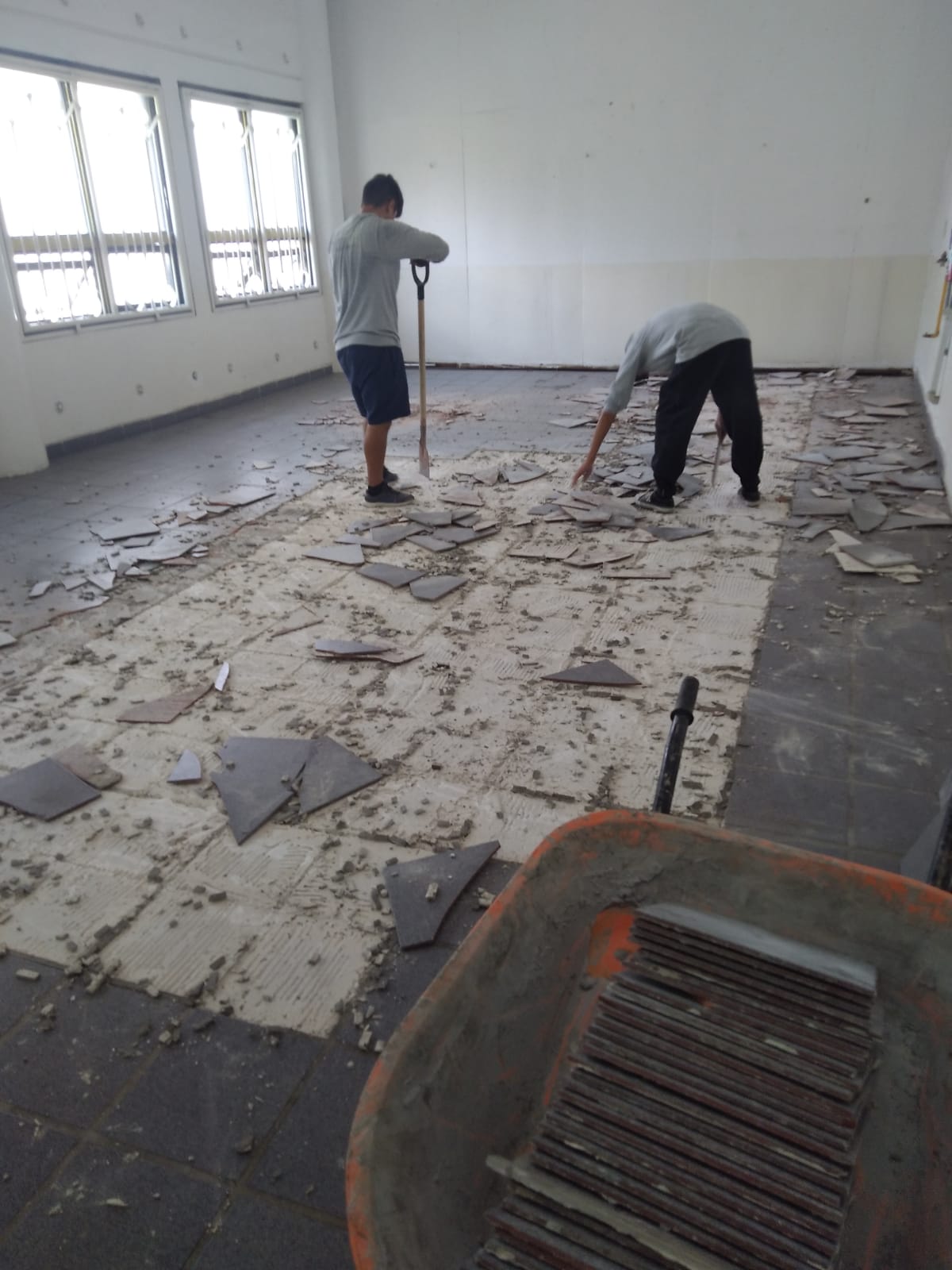 Imagen del proyecto