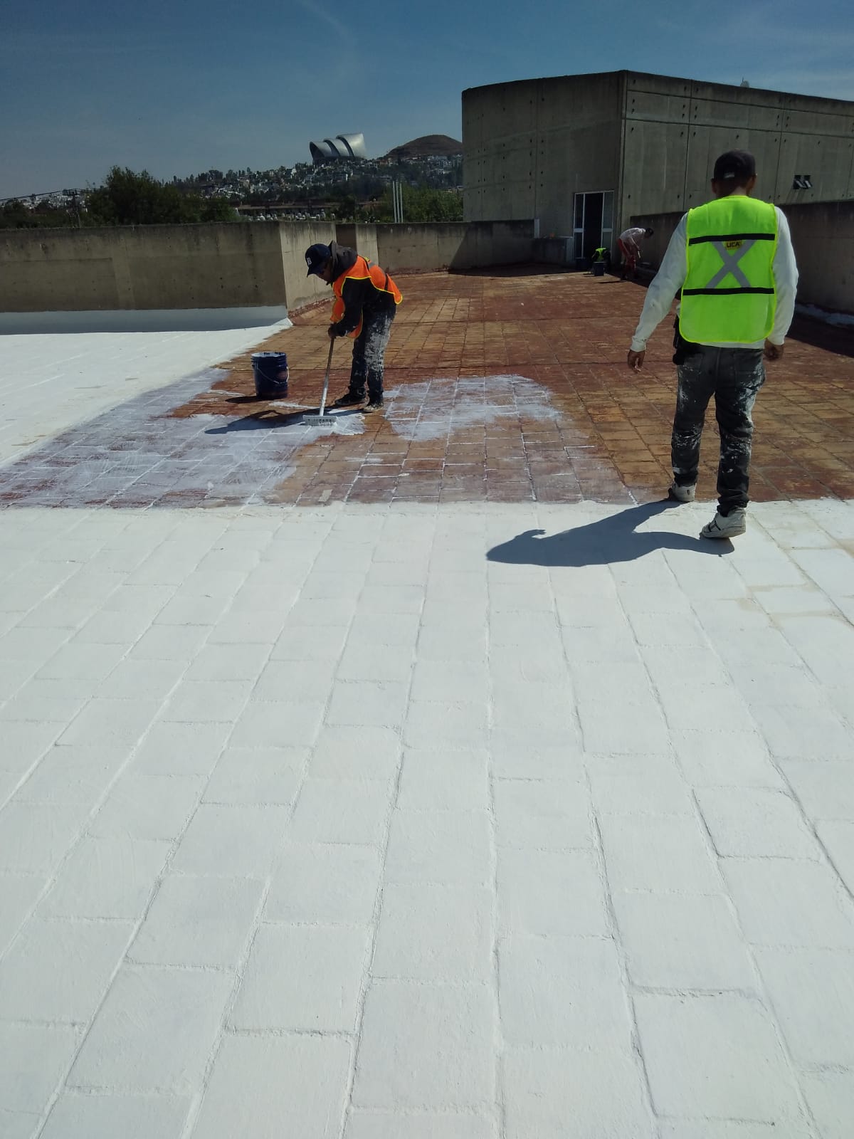 Imagen del proyecto