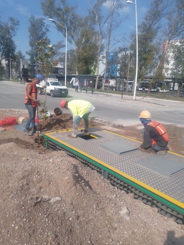 Imagen del proyecto