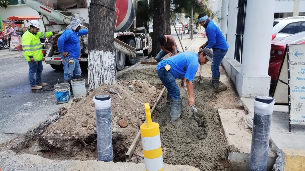 Imagen del proyecto
