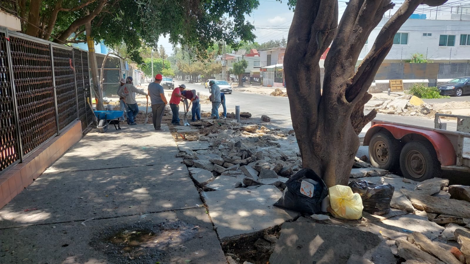Imagen del proyecto